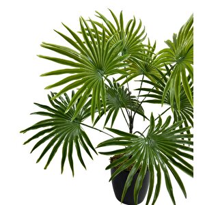 Yapay Çiçek Yelpaze Palmiye 8 Dal 50*40cm Salon Çiçeği Plastik Siyah Saksılı Yapay Bitki
