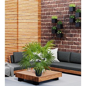 Yapay Çiçek Yelpaze Palmiye 8 Dal 50*40cm Salon Çiçeği Plastik Siyah Saksılı Yapay Bitki
