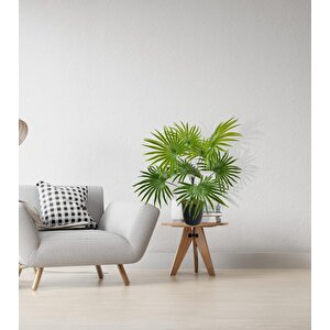 Yapay Çiçek Yelpaze Palmiye 8 Dal 50*40cm Salon Çiçeği Plastik Siyah Saksılı Yapay Bitki
