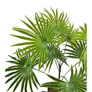 Yapay Çiçek Yelpaze Palmiye 8 Dal 50*40cm Salon Çiçeği Plastik Siyah Saksılı Yapay Bitki