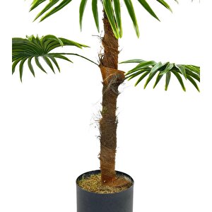 Yapay Ağaç Yelpaze Palmiye 8 Yaprak 85*55cm Siyah Aleminyum Saksı