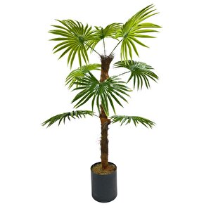 Yapay Ağaç Yelpaze Palmiye 8 Yaprak 85*55cm Siyah Aleminyum Saksı