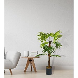 Yapay Ağaç Yelpaze Palmiye 8 Yaprak 85*55cm Siyah Aleminyum Saksı