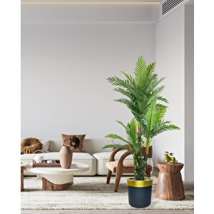 Yapay Ağaç Areka Palmiye Metal Gold Kemerli 165*90 Doğal Gövdeli 36 Yaprak