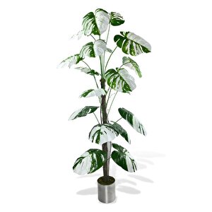 Yapay Ağaç Beyaz Monstera 18 Dallı Çalılı Gövde 120x60cm Gümüş Aleminyum Saksıda