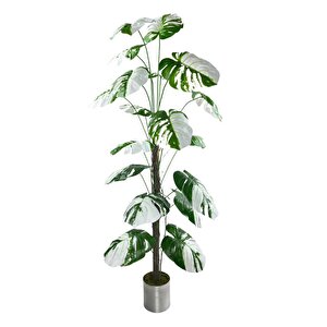 Yapay Ağaç Beyaz Monstera 18 Dallı Çalılı Gövde 120x60cm Gümüş Aleminyum Saksıda