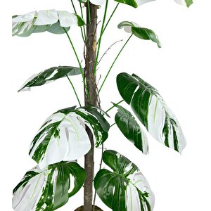 Yapay Ağaç Beyaz Monstera 18 Dallı Çalılı Gövde 120x60cm Gümüş Aleminyum Saksıda