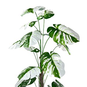 Yapay Ağaç Beyaz Monstera 18 Dallı Çalılı Gövde 120x60cm Gümüş Aleminyum Saksıda