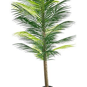 Yapay Ağaç Palmiye 160*70cm 36 Yaprak Areka Ağacı Siyah Saksıda Tek Gövdeli