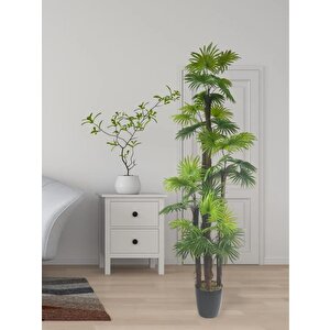 Yapay Ağaç Yelpaze Palmiye 5katlı Fanpalm 40 Yaprak 180*65cm