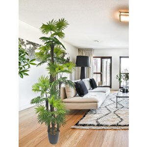 Yapay Ağaç Yelpaze Palmiye 5katlı Fanpalm 40 Yaprak 180*65cm