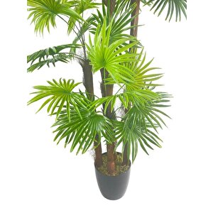 Yapay Ağaç Yelpaze Palmiye 5katlı Fanpalm 40 Yaprak 180*65cm
