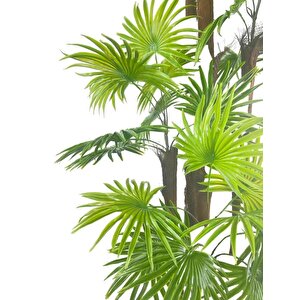 Yapay Ağaç Yelpaze Palmiye 5katlı Fanpalm 40 Yaprak 180*65cm