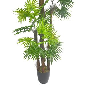 Yapay Ağaç Yelpaze Palmiye 5katlı Fanpalm 40 Yaprak 180*65cm