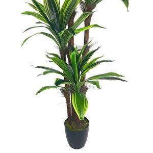 Yapay Ağaç Yukka Sarı Şeritli 4katlı 150cm Salon Çiçeği Yapay Çiçek
