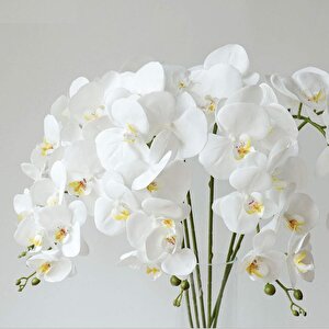4lü Set Yapay Çiçek Beyaz Islak Orkide Ve 2 Adet Orkide Yaprağı Gerçeksi Doku Uzun Dal 90cm
