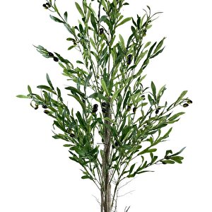 Yapay Zeytin Ağacı 160cm Tek Gövdeli Çalılı Doğal Gerçek Görünümlü Yapay Ağaç