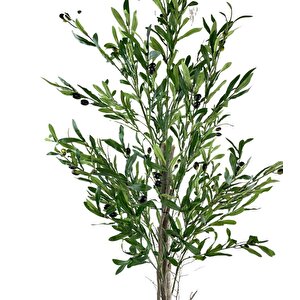 Yapay Zeytin Ağacı 160cm Tek Gövdeli Çalılı Doğal Gerçek Görünümlü Yapay Ağaç