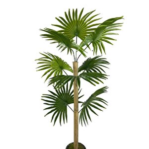 Yapay Ağaç Fanpalm 8yaprak 85*45cm Yelpaze Palmiye Siyah Aleminyum Saksı