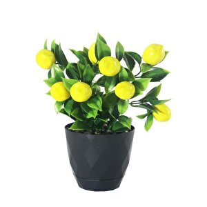 Yapay Çiçek Limon Ağacı Siyah Saksıda Ve Dekoratif