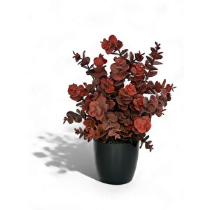 Yapay Çiçek Siyah Saksıda Okaliptus Şimşir Demeti Pudralı Pastel Bordo Dekoratif Yapay Bitki