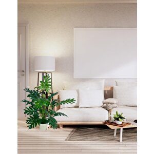 Yapay Ağaç Salon Bitkisi Syngonium 70 Cm 18 Yaprak Beyaz Saksıda