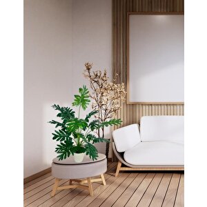 Yapay Ağaç Salon Bitkisi Syngonium 70 Cm 18 Yaprak Beyaz Saksıda