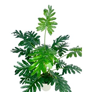 Yapay Ağaç Salon Bitkisi Syngonium 70 Cm 18 Yaprak Beyaz Saksıda