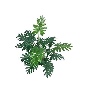 Yapay Ağaç Salon Bitkisi Syngonium 70 Cm 18 Yaprak Beyaz Saksıda