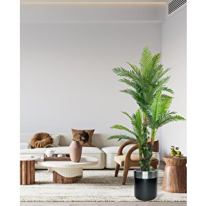 Yapay Ağaç Areka Palmiye Metal Gümüş Kemerli 165*90 Doğal Gövdeli 36 Yaprak