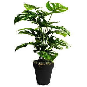 Yapay Ağaç Salon Bitkisi Monstera 60 Cm 18 Yaprak Antrasit Saksıda