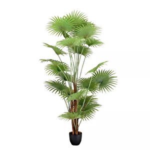 Yapay Ağaç Palmiye Ağacı 200cm Dev Fanpalm Ağacı 17 Yaprak