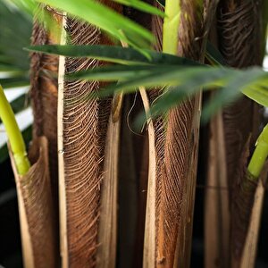 Yapay Ağaç Palmiye Ağacı 200cm Dev Fanpalm Ağacı 17 Yaprak