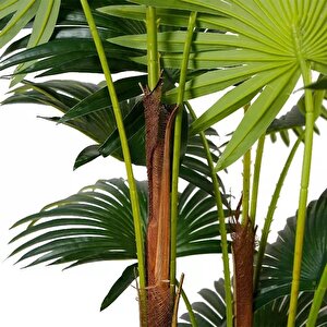 Yapay Ağaç Palmiye Ağacı 200cm Dev Fanpalm Ağacı 17 Yaprak