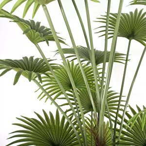 Yapay Ağaç Palmiye Ağacı 200cm Dev Fanpalm Ağacı 17 Yaprak