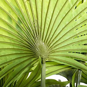 Yapay Ağaç Palmiye Ağacı 200cm Dev Fanpalm Ağacı 17 Yaprak