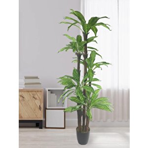 Yapay Ağaç Yukka 5katlı 90 Yaprak 180*65cm