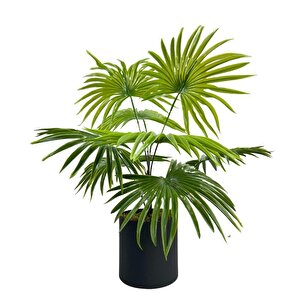 Yapay Çiçek Yelpaze Palmiye 8 Dal 50*40cm Salon Çiçeği Metal Mat Siyah Saksılı Yapay Bitki