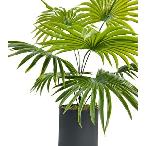 Yapay Çiçek Yelpaze Palmiye 8 Dal 50*40cm Salon Çiçeği Metal Mat Siyah Saksılı Yapay Bitki