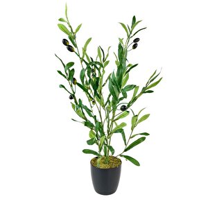 Yapay Çiçek Siyah Saksıda Zeytin Dalı 60cm