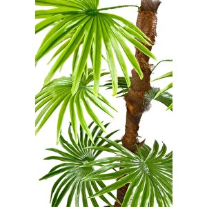 Yapay Ağaç Yelpaze Palmiye Fanpalm 16 Yaprak 115*55cm