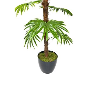 Yapay Ağaç Yelpaze Palmiye Fanpalm 16 Yaprak 115*55cm