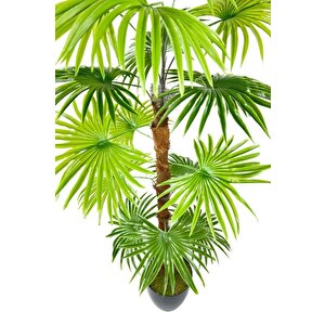 Yapay Ağaç Yelpaze Palmiye Fanpalm 16 Yaprak 115*55cm