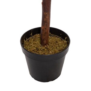 Yapay Zeytin Ağacı 120cm Tek Gövdeli Doğal Gerçek Görünümlü Yapay Ağaç