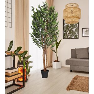 Yapay Zeytin Ağacı 200cm 3 Gövdeli Doğal Gerçek Görünümlü Yapay Ağaç