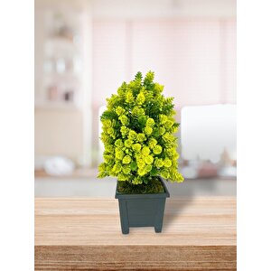 3lü Set Yapay Çiçek Bonsai Ağacı Kozalak Model Dekoratif Yapay Ağaç Bonzai 30*15 Cm Siyah Kare Saksıda