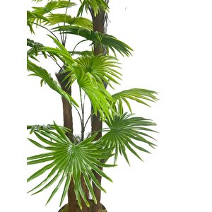 Yapay Ağaç Palmiye Fanpalm 3katlı 24yaprak 130*65cm