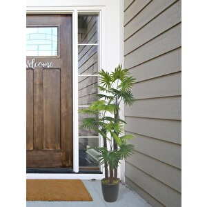 Yapay Ağaç Palmiye Fanpalm 3katlı 24yaprak 130*65cm