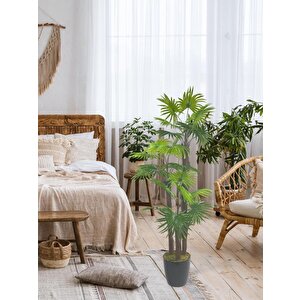 Yapay Ağaç Palmiye Fanpalm 3katlı 24yaprak 130*65cm