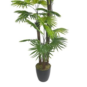Yapay Ağaç Palmiye Fanpalm 3katlı 24yaprak 130*65cm